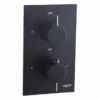 Niagara Equate Matt Black Twin Concealed Shower Valve - Single Outlet